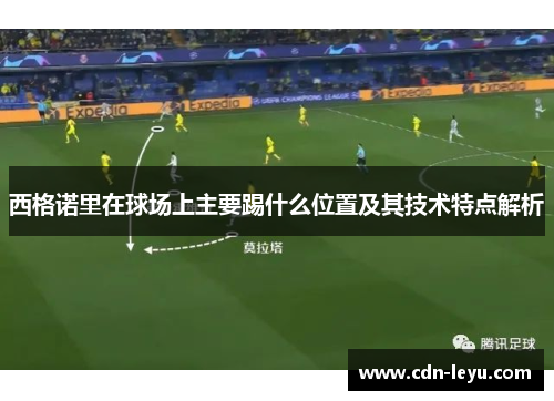 西格诺里在球场上主要踢什么位置及其技术特点解析