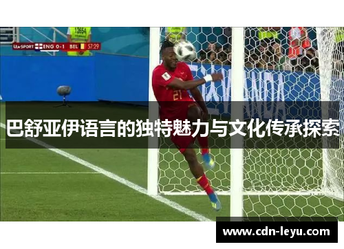 巴舒亚伊语言的独特魅力与文化传承探索