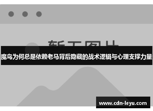 魔鸟为何总是依赖老马背后隐藏的战术逻辑与心理支撑力量 魔鸟为何总是依赖老马背后隐藏的战术逻辑与心理支撑力量