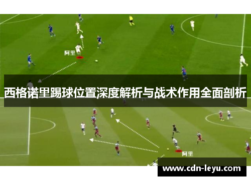 西格诺里踢球位置深度解析与战术作用全面剖析