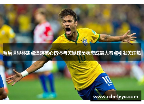 赛后世界杯焦点追踪核心伤停与关键球员状态成最大看点引发关注热