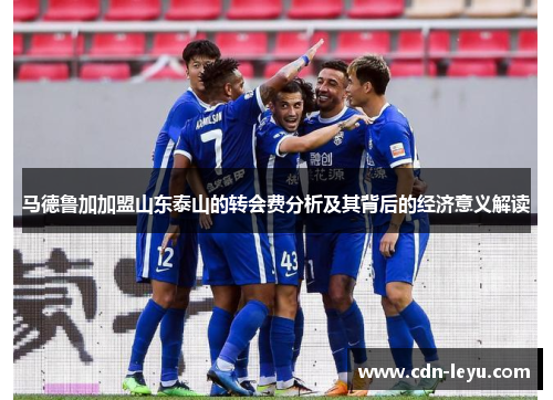 马德鲁加加盟山东泰山的转会费分析及其背后的经济意义解读