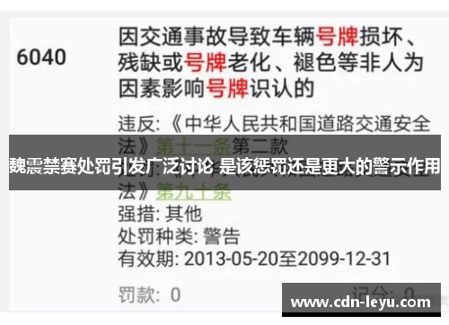 魏震禁赛处罚引发广泛讨论 是该惩罚还是更大的警示作用