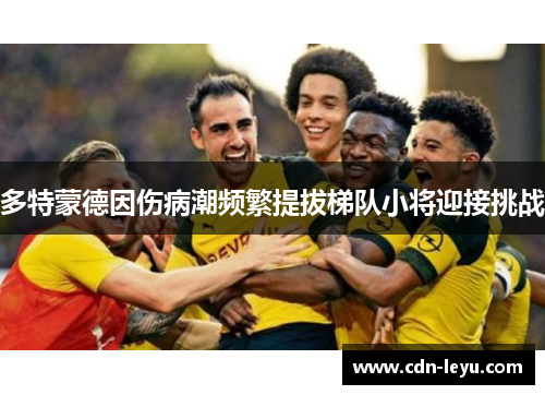 多特蒙德因伤病潮频繁提拔梯队小将迎接挑战