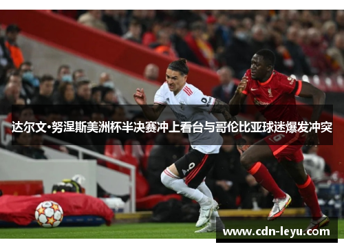 达尔文·努涅斯美洲杯半决赛冲上看台与哥伦比亚球迷爆发冲突 达尔文·努涅斯美洲杯半决赛冲上看台与哥伦比亚球迷爆发冲突