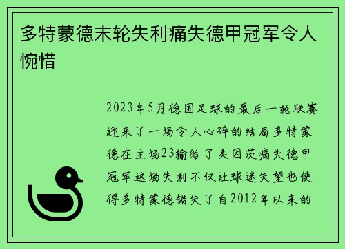 多特蒙德末轮失利痛失德甲冠军令人惋惜